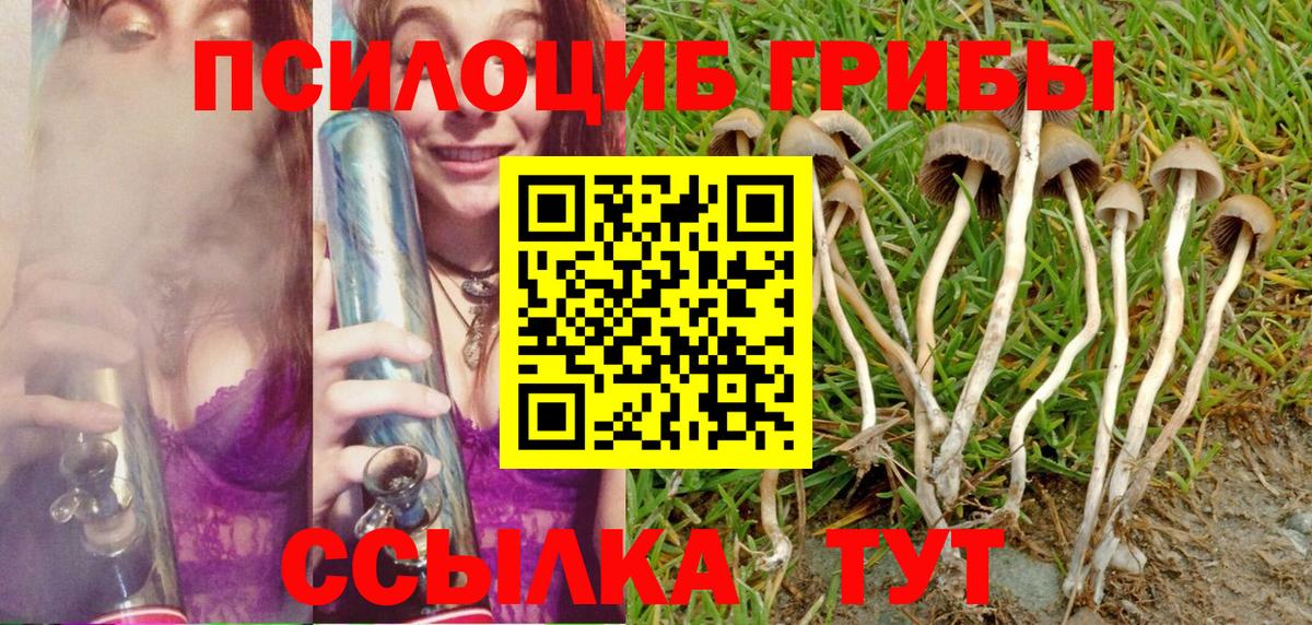Псилоцибиновые грибы Psilocybe  Галлюциногенные грибы мицелий  Вход с VPN  дарнет шоп  Лянтор 