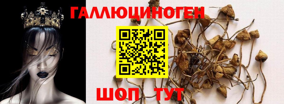 Галлюциногенные грибы мицелий Лянтор